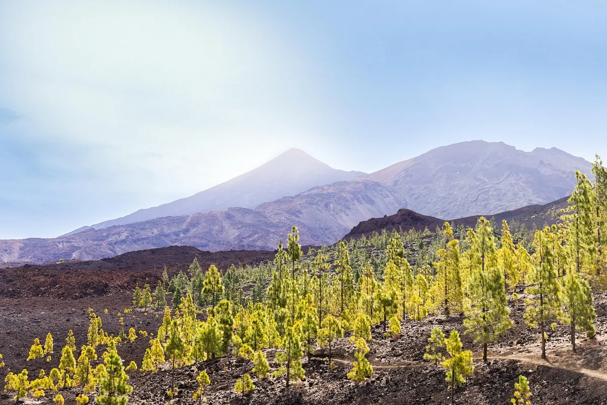 volcano, park, island, vacation, spain, tenerife, el teide, tenerife, tenerife, tenerife, el teide, el teide, el teide, el teide, el teide