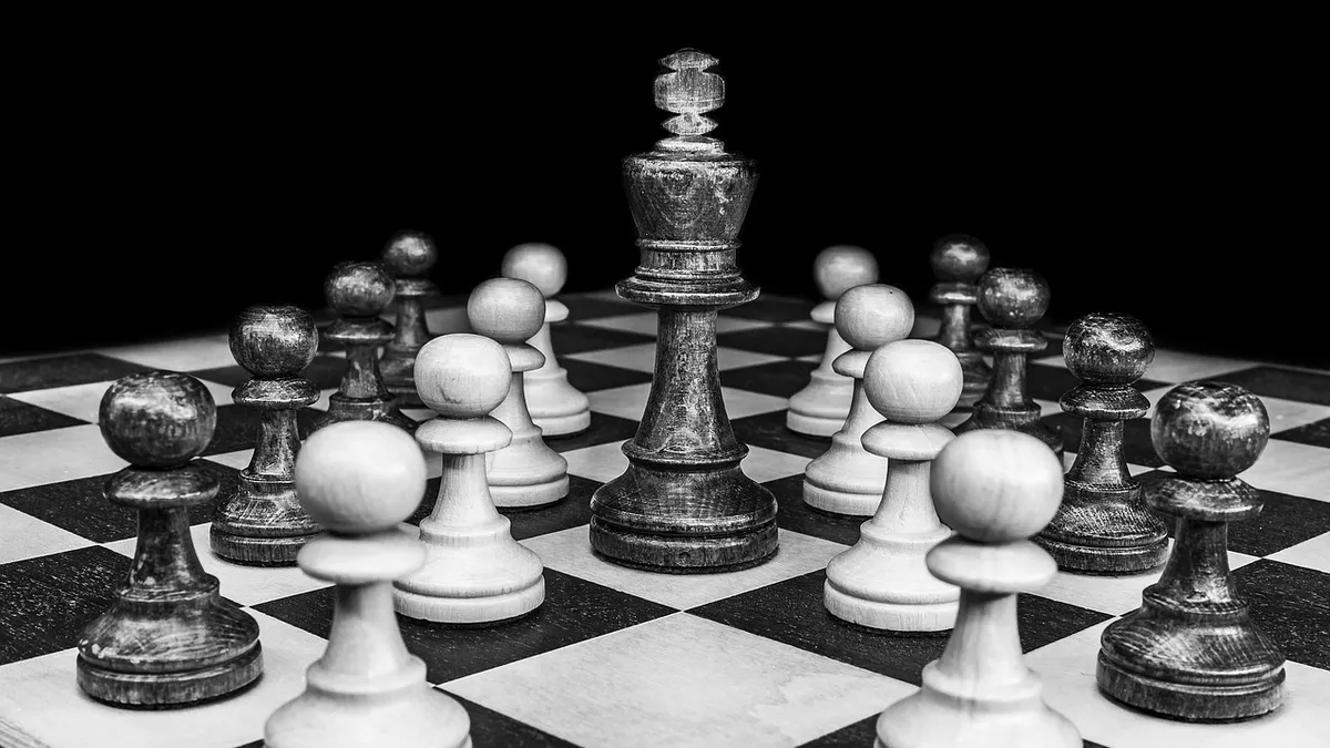chess, king, chess pieces, pawns, chess game, figures, play, strategy, playing field, black and white, checkered, chess championship, chess tournament, monochro
